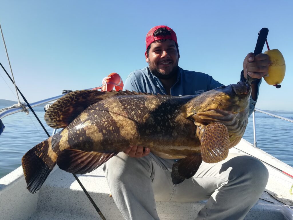 Fishing Panama grouper